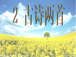 古诗两首二年级下册人教版