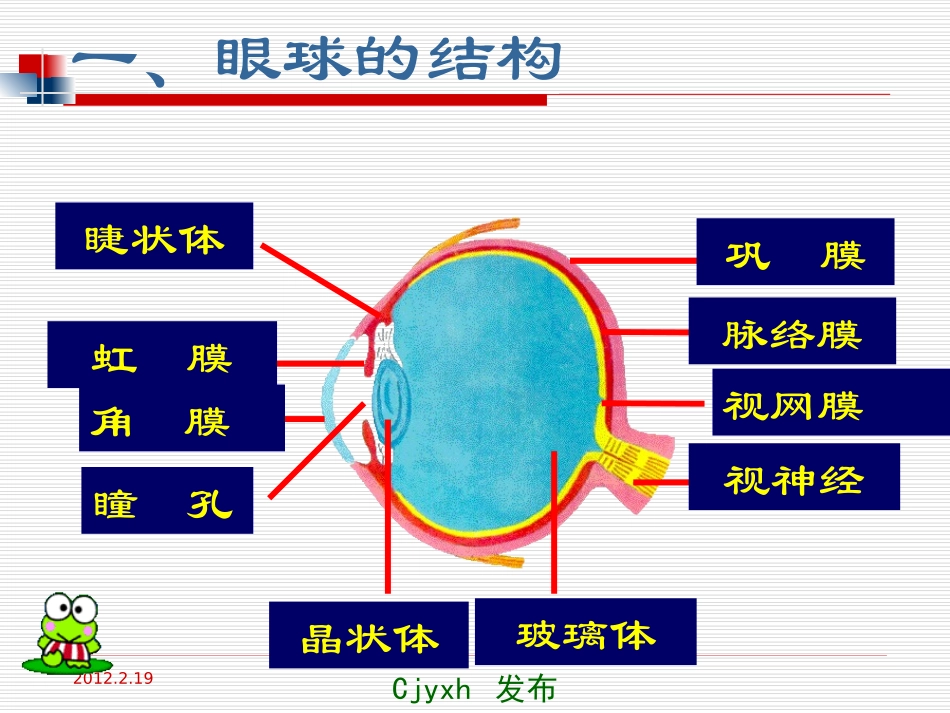 【编辑推荐】54眼睛与眼镜课件_第3页