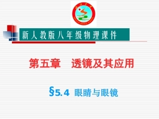 【编辑推荐】54眼睛与眼镜课件