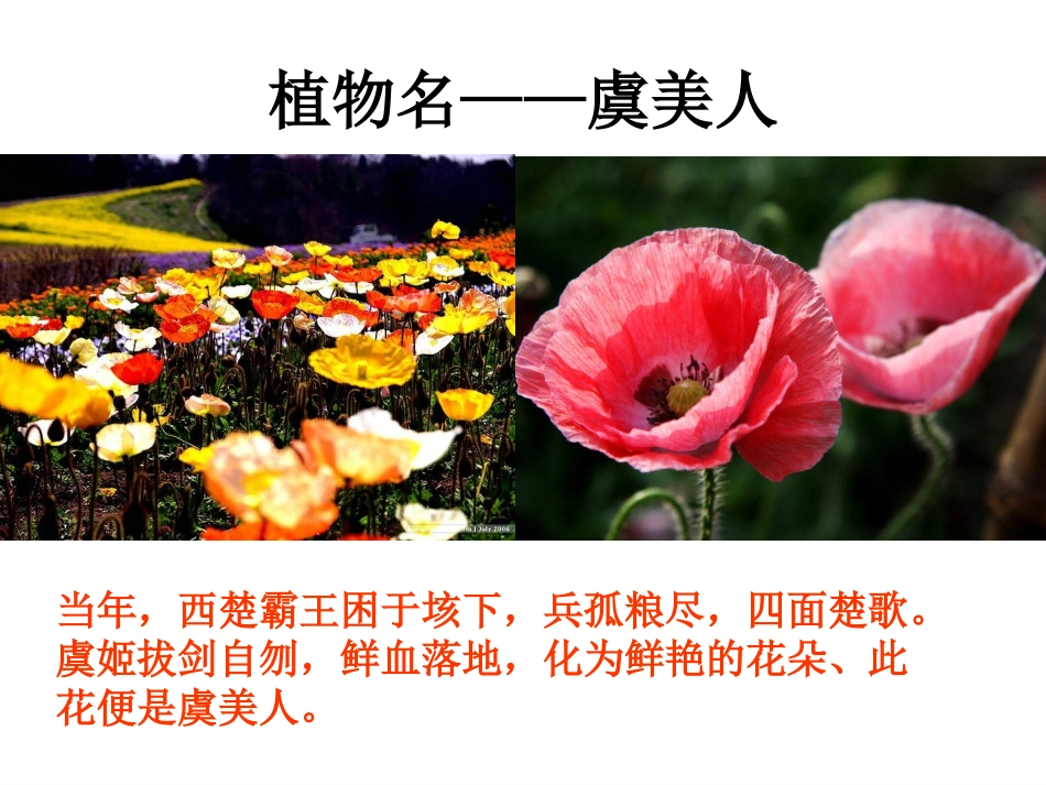 虞美人_李煜_YY_第2页