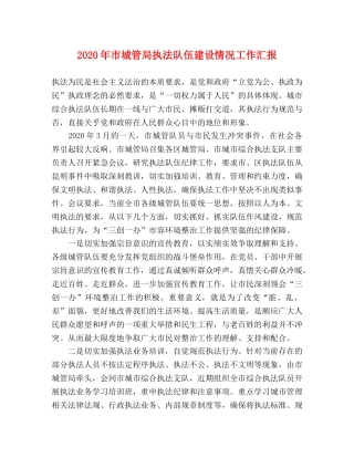 2024年市城管局执法队伍建设情况工作汇报 