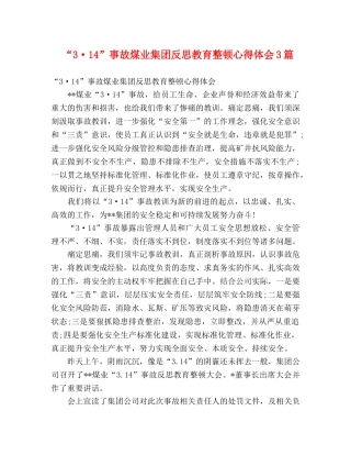 “3·14”事故煤业集团反思教育整顿心得体会3篇 