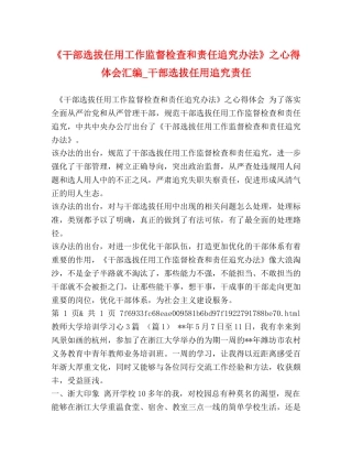 《干部选拔任用工作监督检查和责任追究办法》之心得体会汇编_干部选拔任用追究责任 