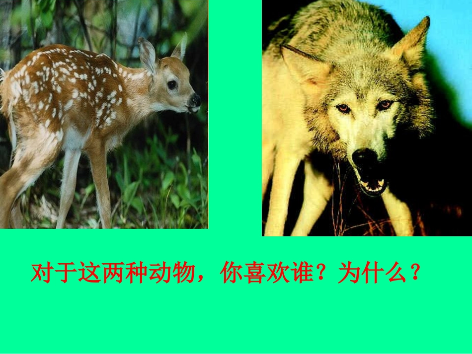 《鹿和狼的故事》教学课件1(1)_第2页