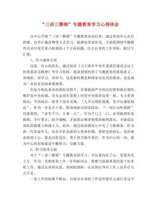 “三讲三整顿”专题教育学习心得体会 