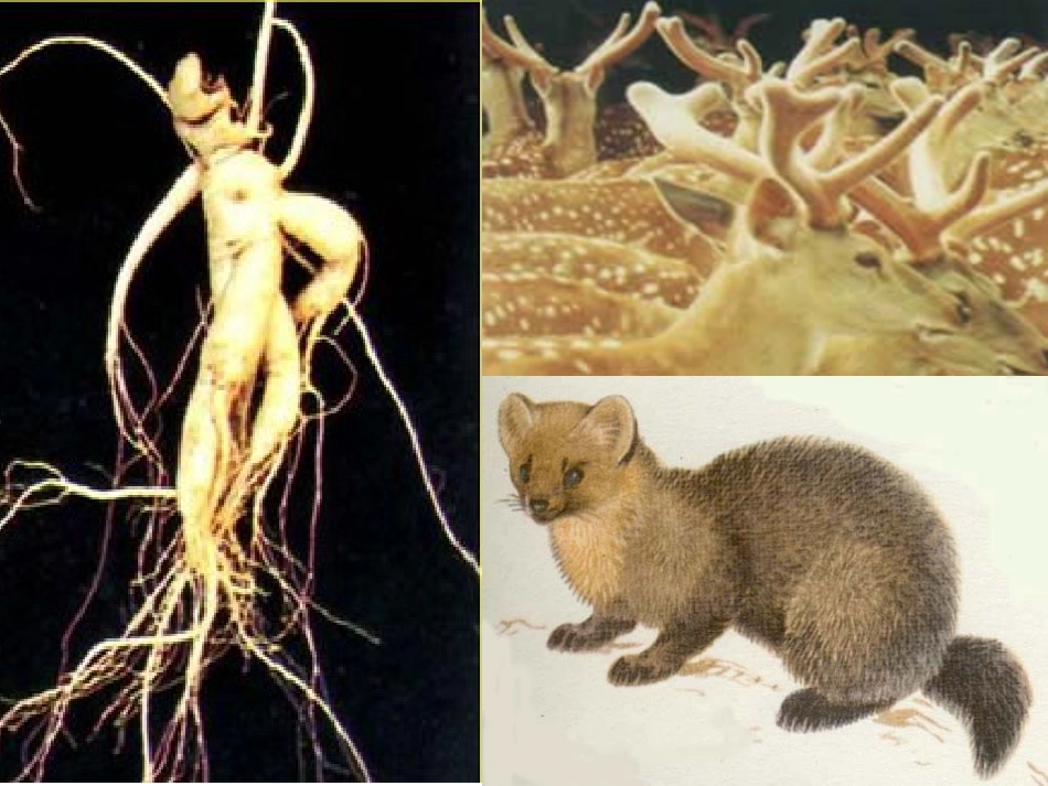 土地的誓言 (2)_第3页