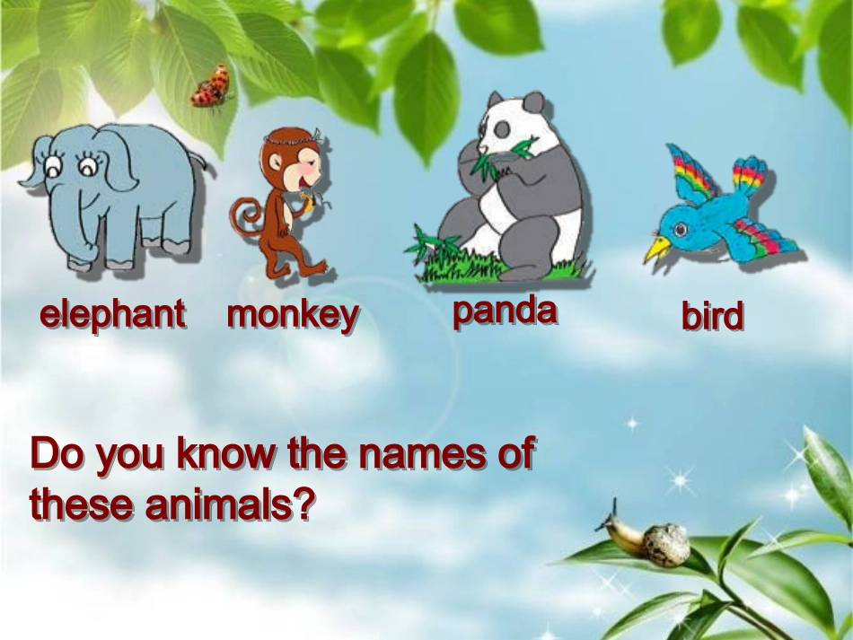 【2013最新】冀教版七年级英语上册：Unit+6+Lesson+33++Lets+Go+to+the+Zoo!精美课件（共17张PPT）_第3页