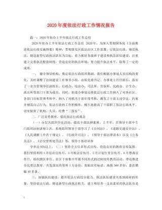 2024年度依法行政工作情况报告 (000001)