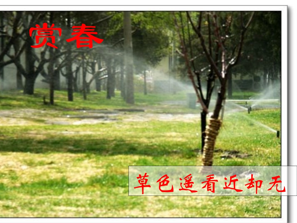 寻觅春天的踪迹2_第2页