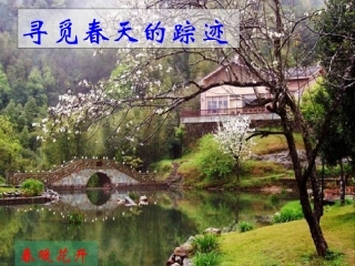 寻觅春天的踪迹2
