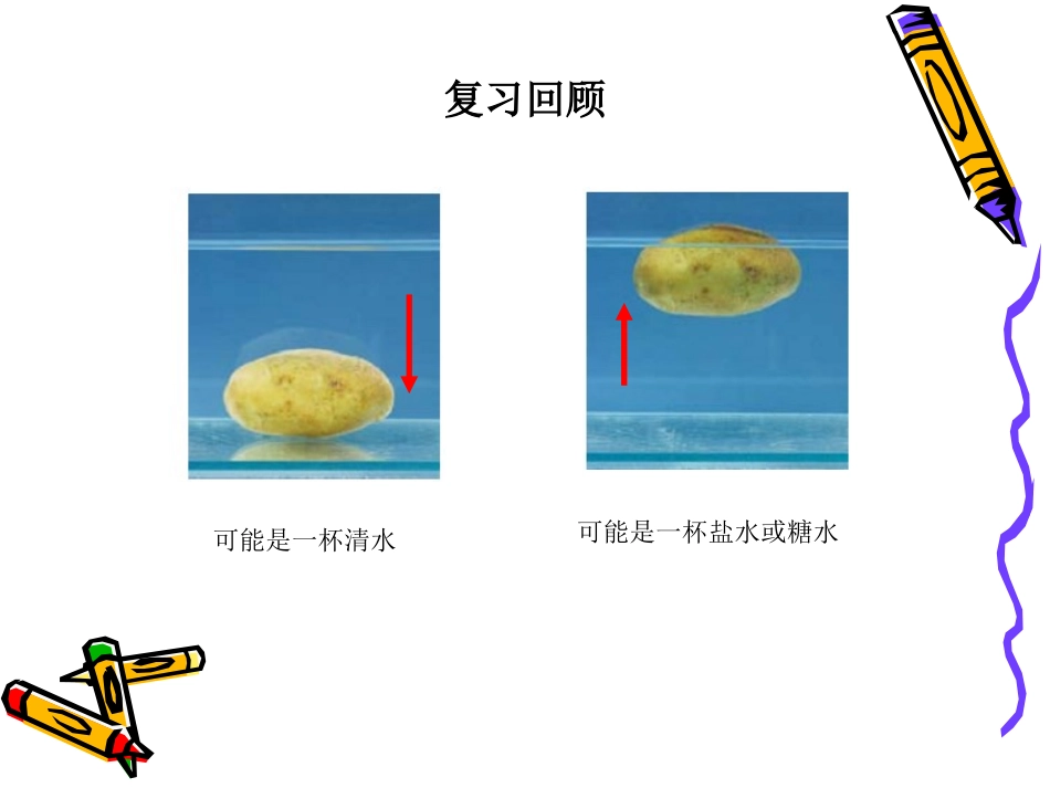 探索马铃薯沉浮的原因_第2页