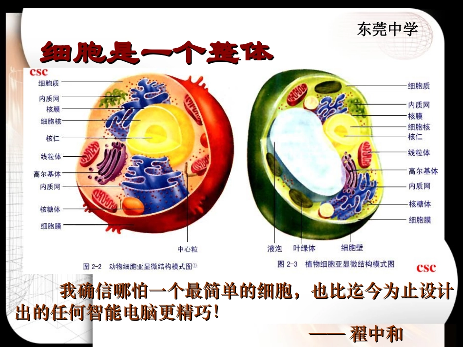 人教版必修1第3章第1节细胞膜——系统的边界细胞膜（共30张PPT）_第2页