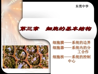 人教版必修1第3章第1节细胞膜——系统的边界细胞膜（共30张PPT）