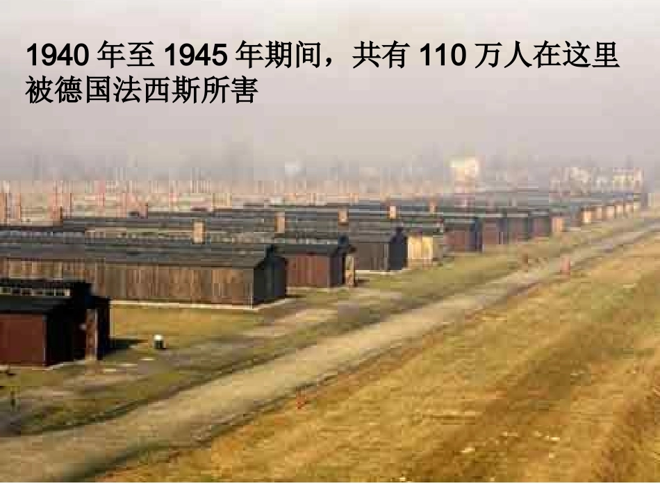 奥斯维辛没有什么新闻PPT课件_第2页