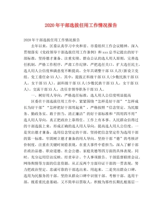 2024年干部选拔任用工作情况报告 