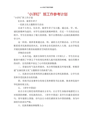 “小洋钉”班工作参考计划 
