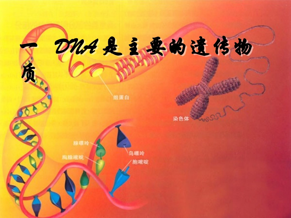 一DNA是主要的遗传物质_第1页