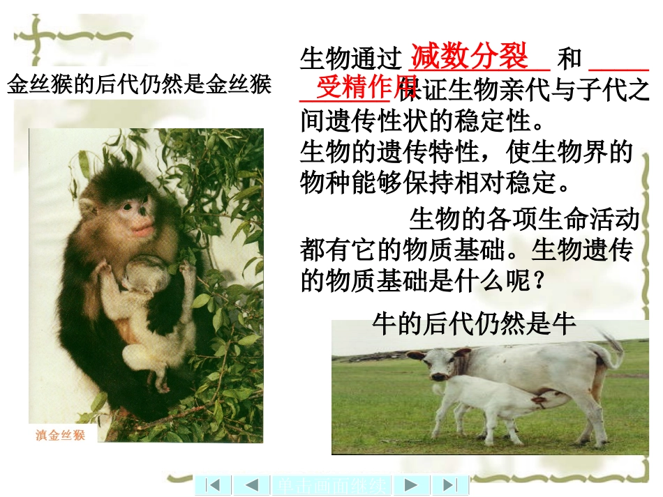 一DNA是主要的遗传物质_第2页