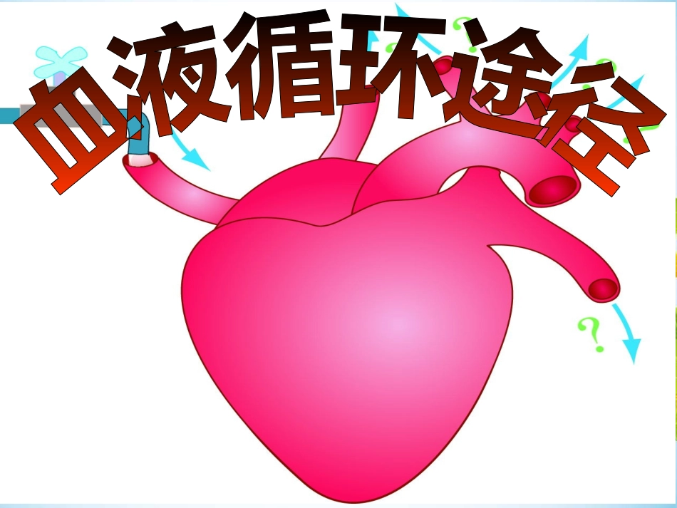 血液循环的途径_第1页