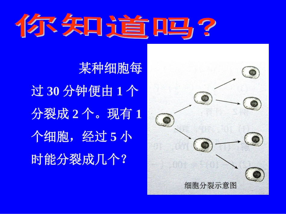 有理数的乘方 (3)_第2页