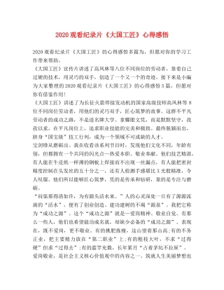 20观看纪录片《大国工匠》心得感悟 