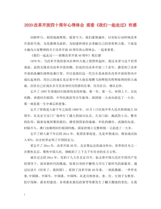 2024改革开放四十周年心得体会 观看《我们一起走过》有感 
