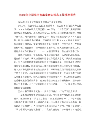 2024年公司党支部落实意识形态工作情况报告 