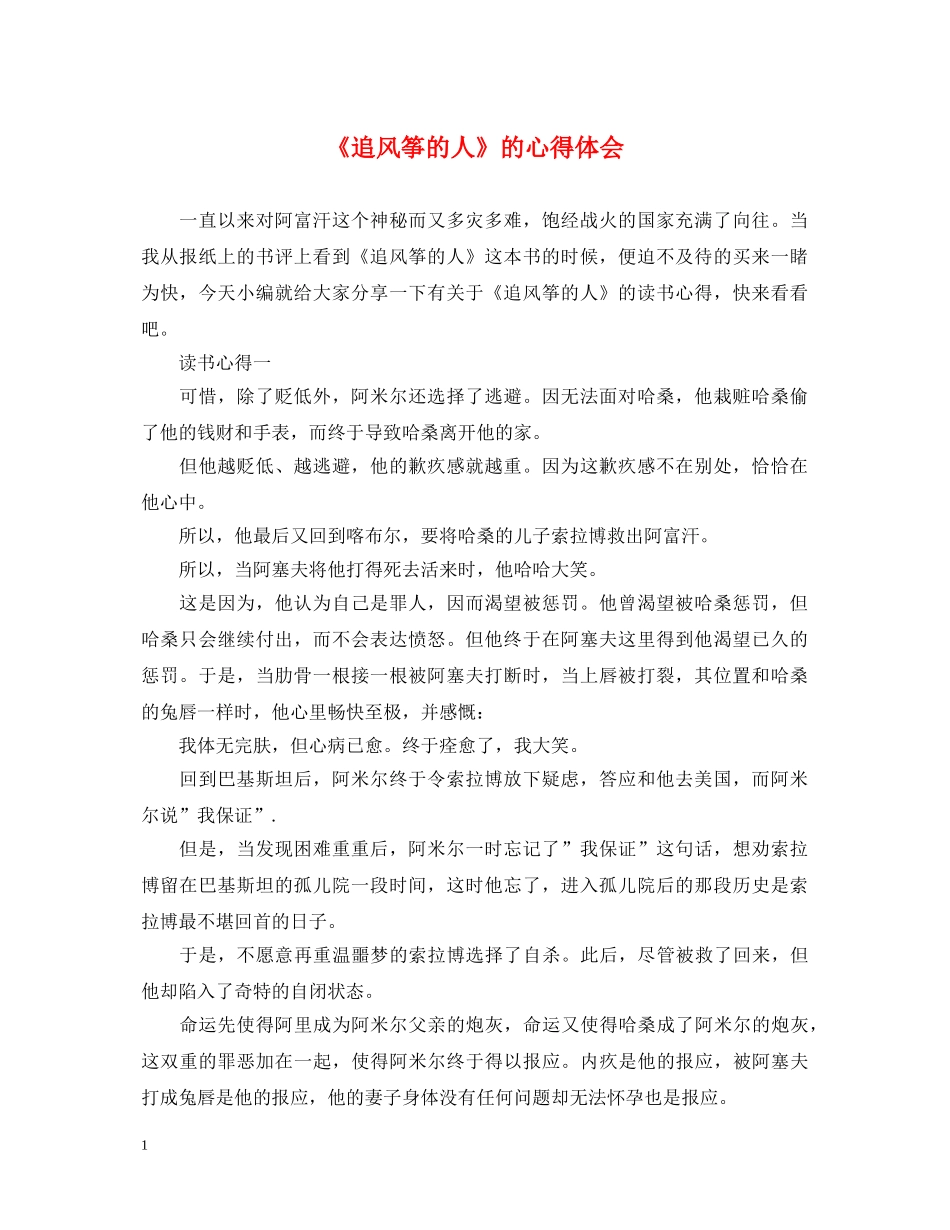 《追风筝的人》的心得体会 _第1页