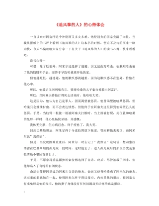 《追风筝的人》的心得体会 