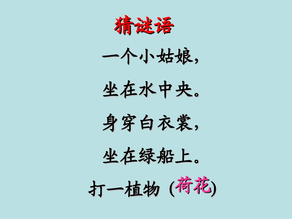 《荷花》PPT之一课件(人教版三年级语文下册课件)_第1页