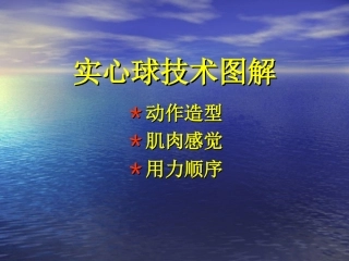 中考图示实心球