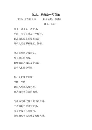 这儿，原来是一片荒地55