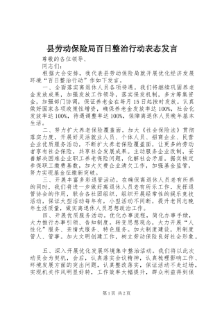 县劳动保险局百日整治行动表态发言稿