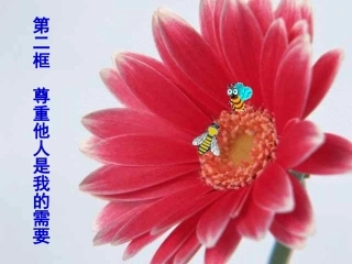 《尊重他人是我的需要》课件