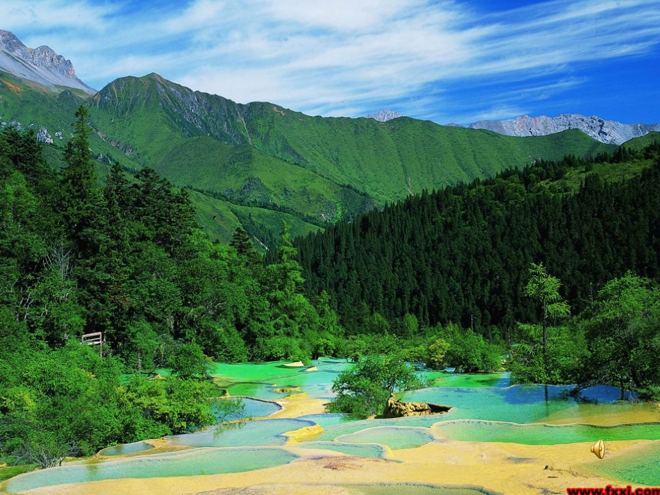 一下语文《柳树醒了》第一课时_第3页