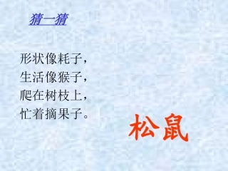 10松鼠和松果s 3