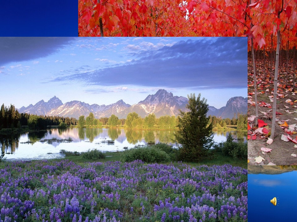 作文指导—如何让作文语言亮起来__第1页