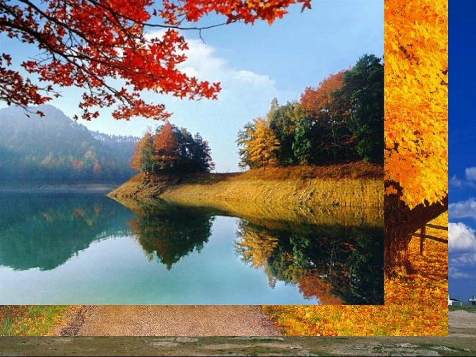 作文指导—如何让作文语言亮起来__第2页