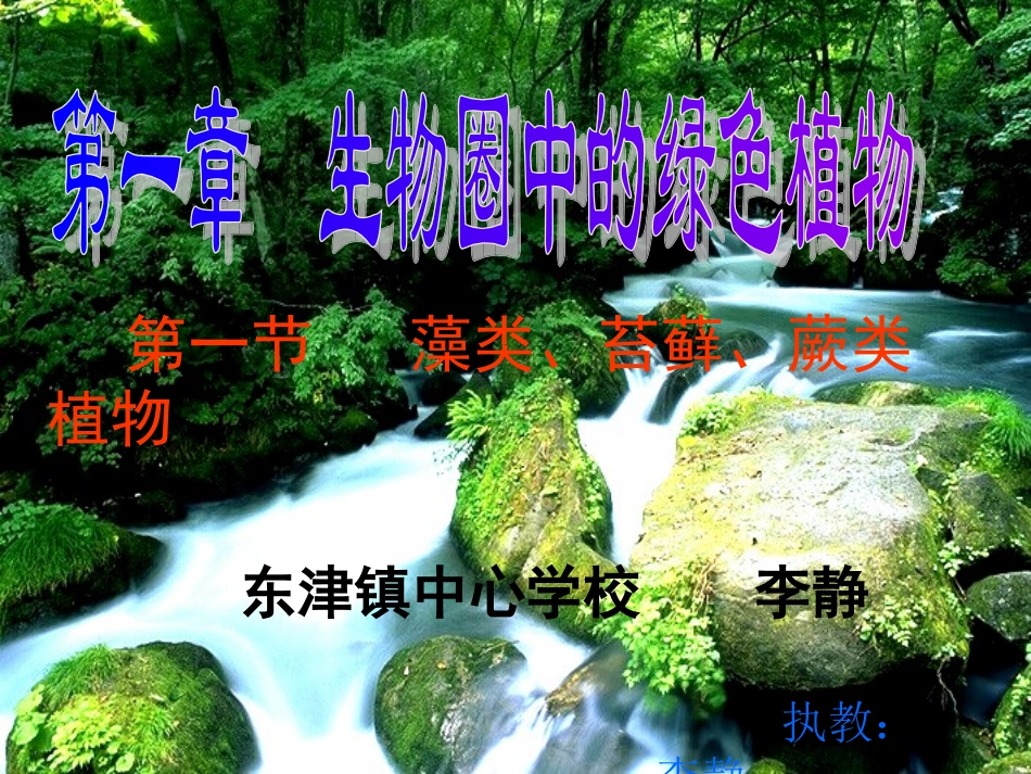 藻类苔藓蕨类植物_第1页