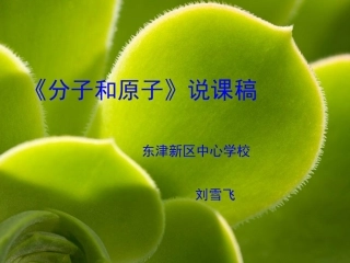 《分子和原子》课件