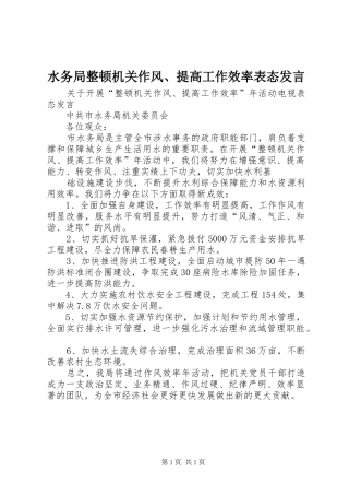 水务局整顿机关作风、提高工作效率表态发言稿