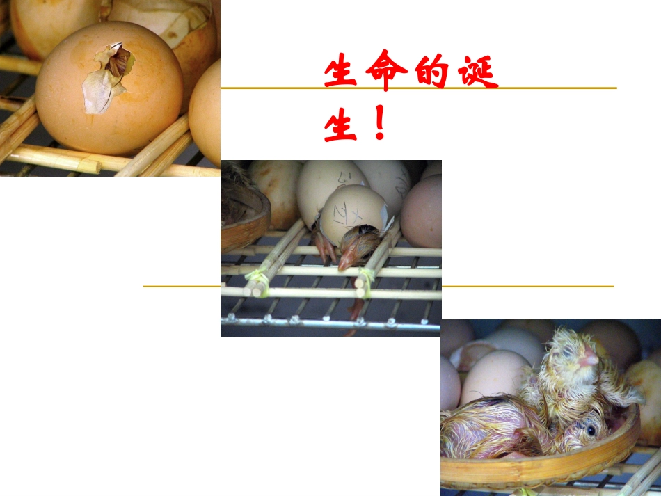 《短文两篇》参考课件1_第2页