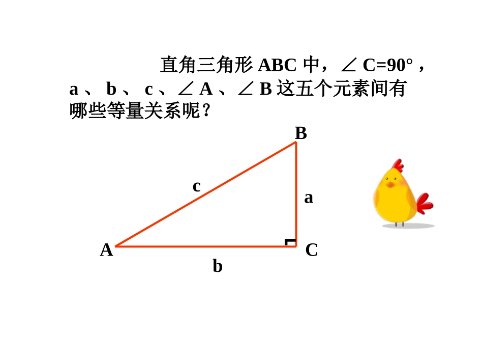 《282_解直角三角形》课件_第3页