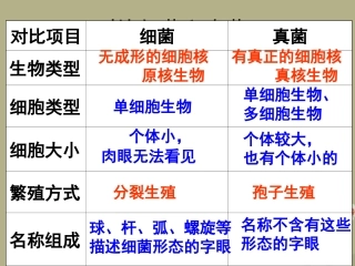 八年级生物上册第五单元51《细菌和真菌在自然界中的作用》