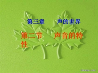 乐音与噪声课件