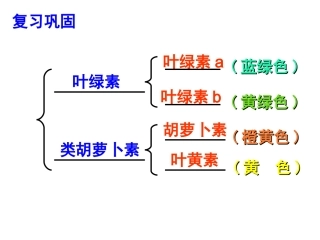 人教版必修1第5章第4节能量之源-光与光合作用（共22张PPT）