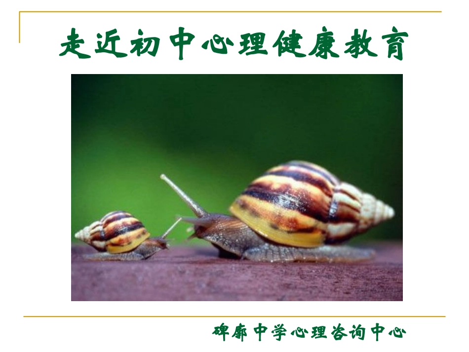 走近初中心理健康教育_公共课课件_第1页