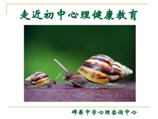 走近初中心理健康教育_公共课课件