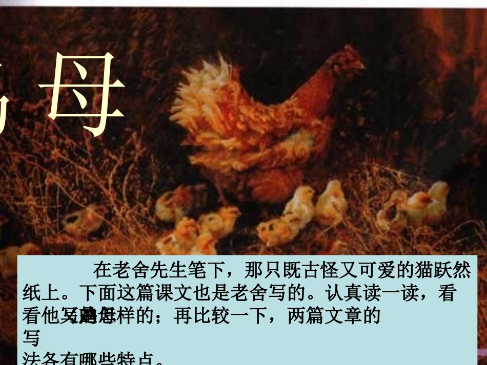 人教新课标四上《母鸡》PPT课件1_第1页