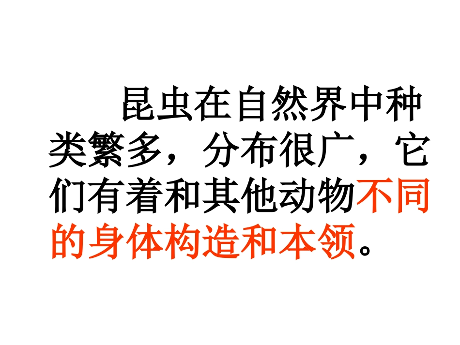 放大镜下的昆虫世界_第2页